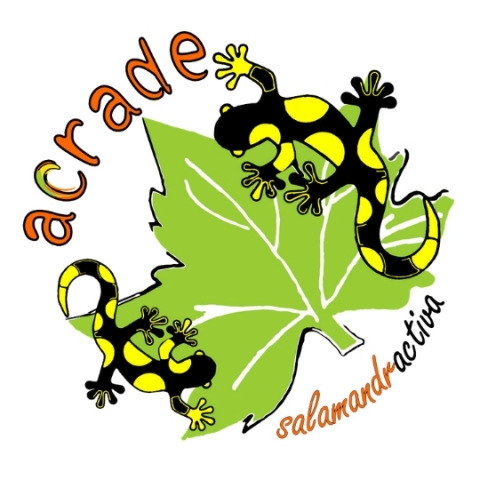 ACRADE - Salamandra Activa